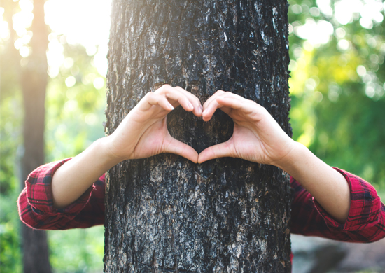 tree service corpus christi