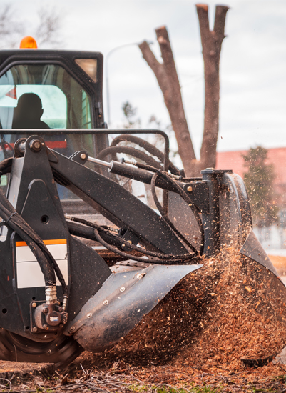 heavy equipment doing stump removal