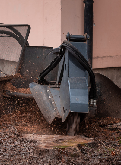 heavy equipment starting digging the stump